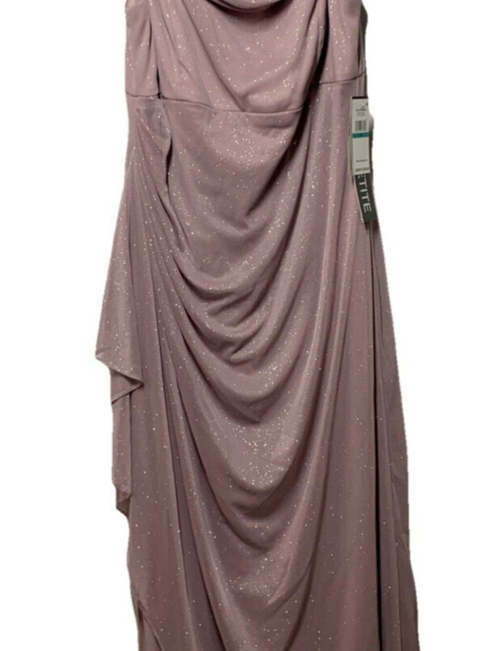 Alex Evenings Women's Long L-Neck Glitter Mesh Dress With Ruched Neck Line 16P